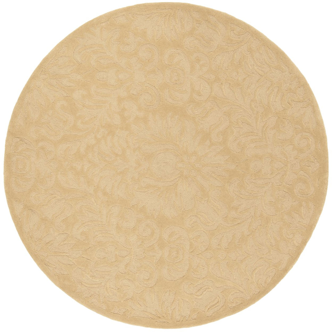 SAFAVIEH Total Performance TLP714C Hand-hooked Beige Rug Image 1