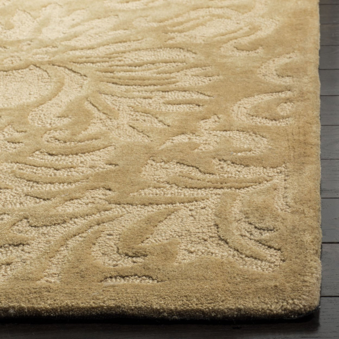 SAFAVIEH Total Performance TLP714C Hand-hooked Beige Rug Image 3