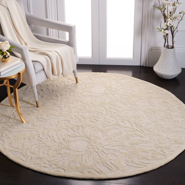 SAFAVIEH Total Performance TLP714F Hand-hooked Ivory Rug Image 2