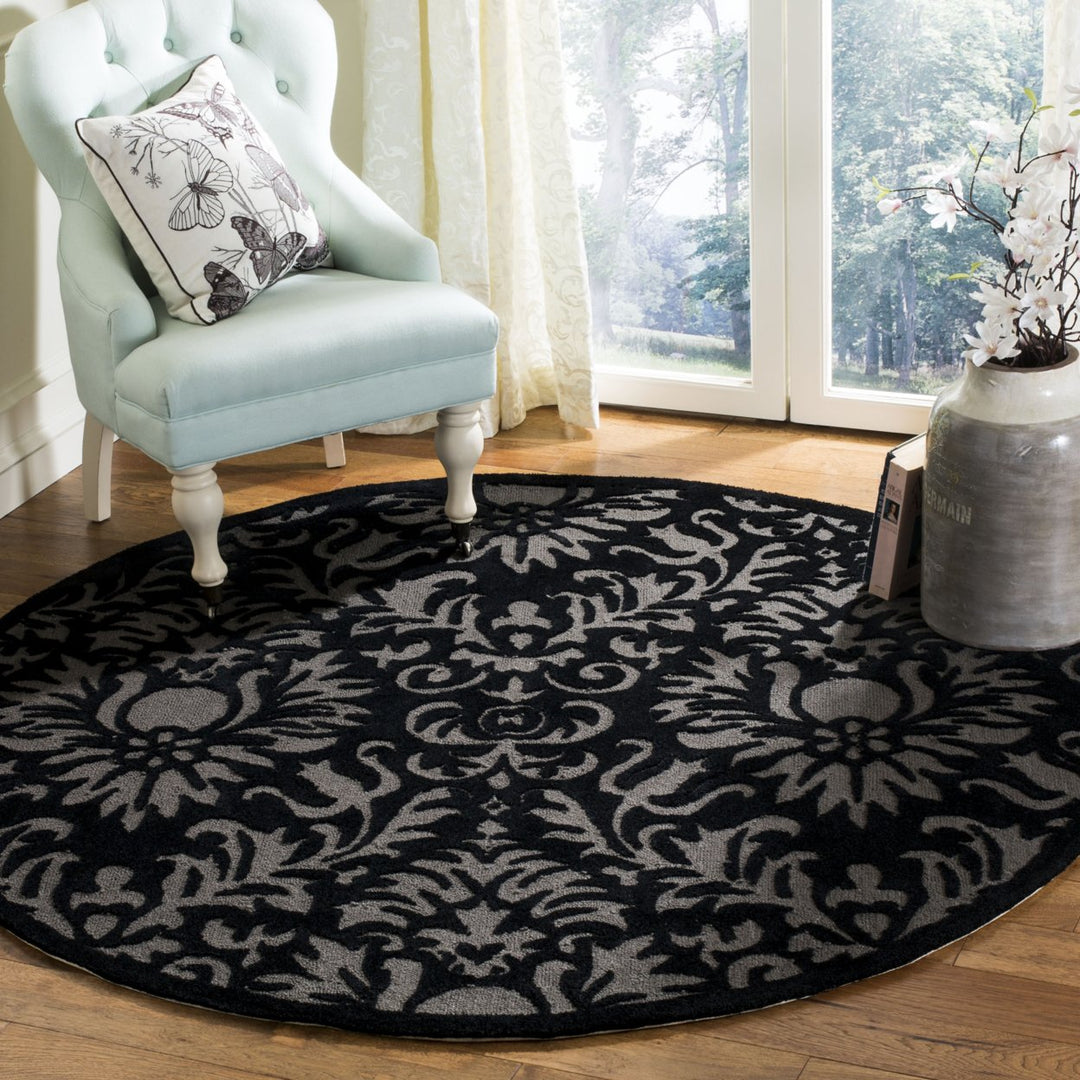 SAFAVIEH Total Performance TLP714G Hand-hooked Black Rug Image 2