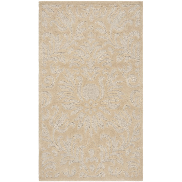 SAFAVIEH Total Performance TLP714F Hand-hooked Ivory Rug Image 6