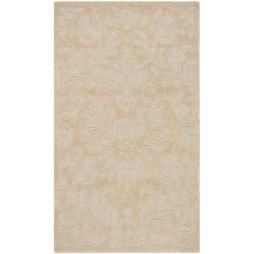 SAFAVIEH Total Performance TLP714F Hand-hooked Ivory Rug Image 1