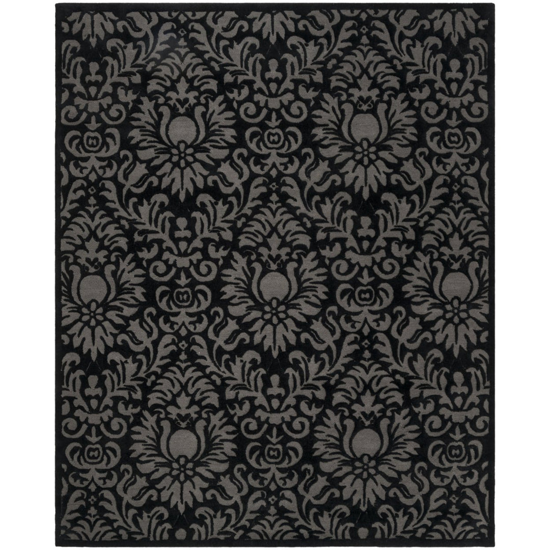 SAFAVIEH Total Performance TLP714G Hand-hooked Black Rug Image 1