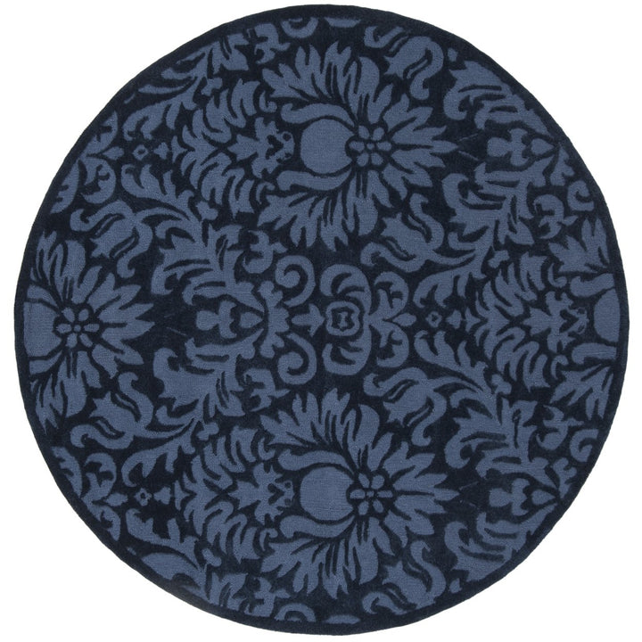 SAFAVIEH Total Performance TLP714I Hand-hooked Navy Rug Image 1