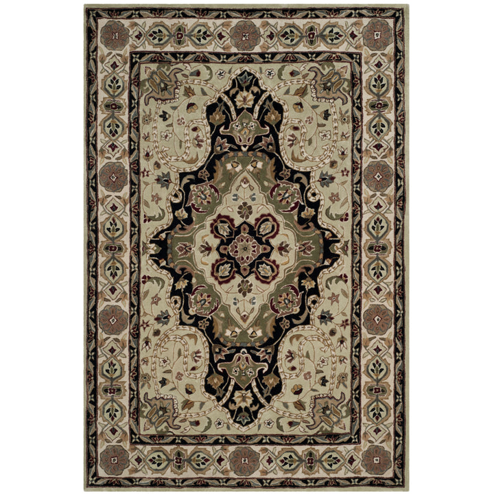 SAFAVIEH Total Performance TLP718A Soft Green / Ivory Rug Image 1
