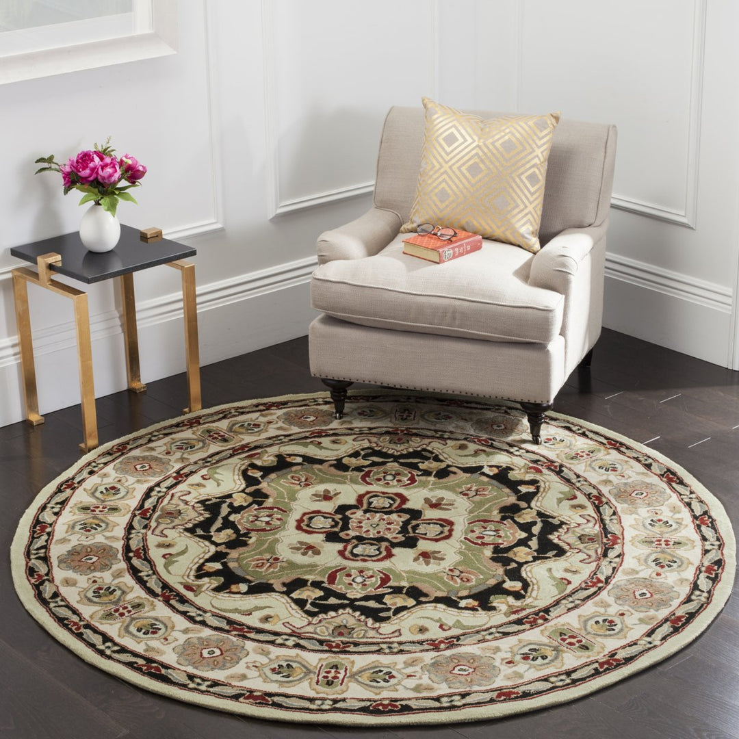 SAFAVIEH Total Performance TLP718A Soft Green / Ivory Rug Image 2