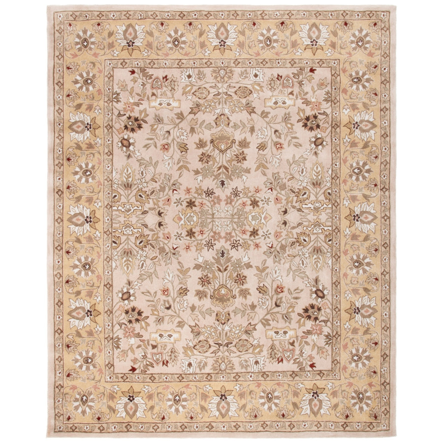 SAFAVIEH Total Performance TLP721A Ivory / Gold Rug Image 1