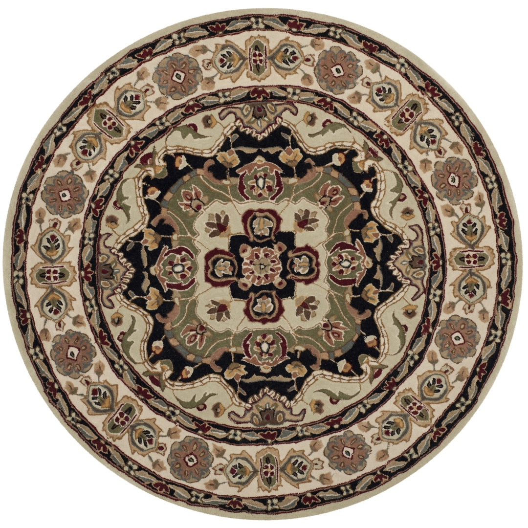 SAFAVIEH Total Performance TLP718A Soft Green / Ivory Rug Image 3