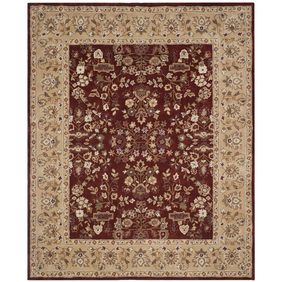 SAFAVIEH Total Performance TLP721B Rust / Green Rug Image 1