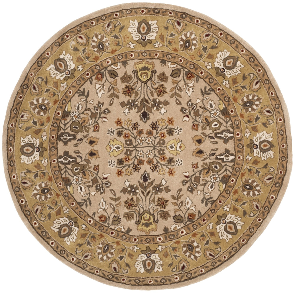 SAFAVIEH Total Performance TLP721A Ivory / Gold Rug Image 2