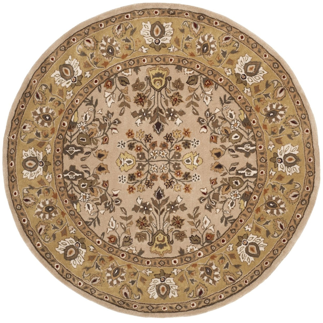 SAFAVIEH Total Performance TLP721A Ivory / Gold Rug Image 1