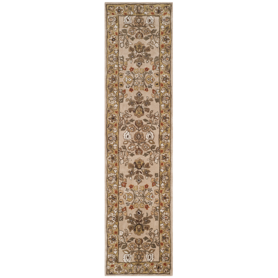 SAFAVIEH Total Performance TLP721A Ivory / Gold Rug Image 3