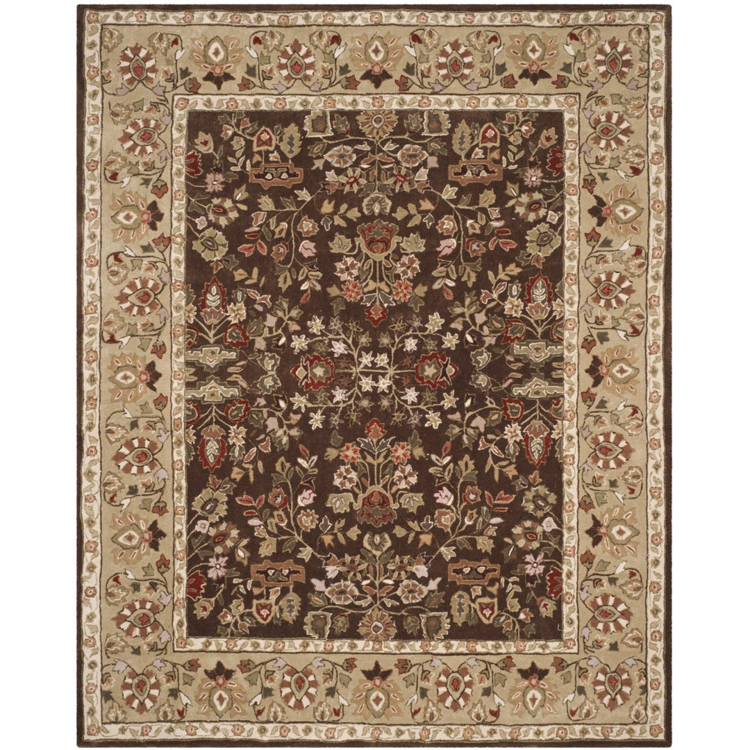 SAFAVIEH Total Performance TLP721C Brown / Green Rug Image 1