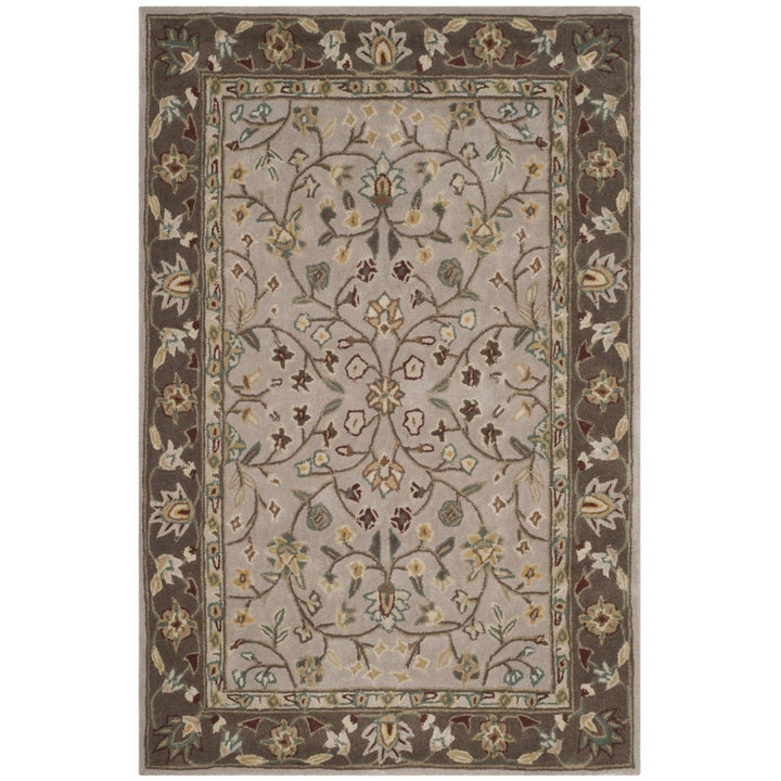 SAFAVIEH TLP722B Total Performance Ivory / Taupe Image 1