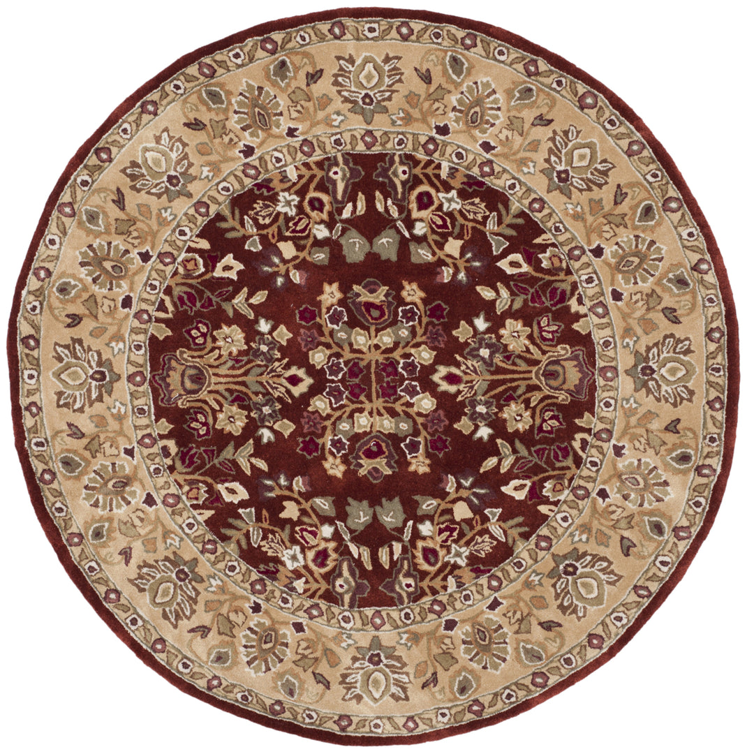 SAFAVIEH Total Performance TLP721B Rust / Green Rug Image 3