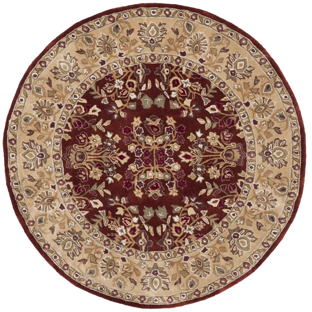 SAFAVIEH Total Performance TLP721B Rust / Green Rug Image 1