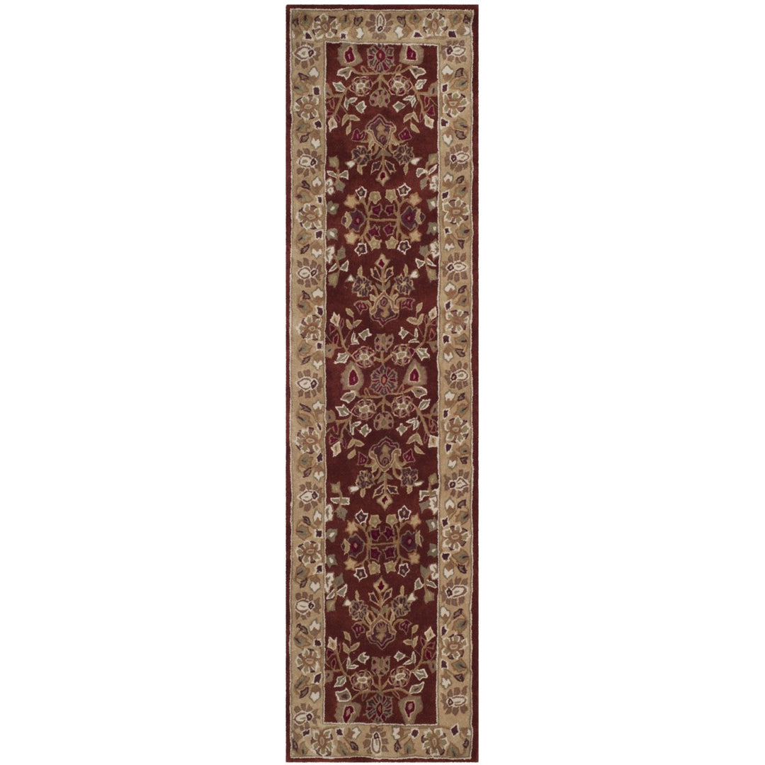 SAFAVIEH Total Performance TLP721B Rust / Green Rug Image 1