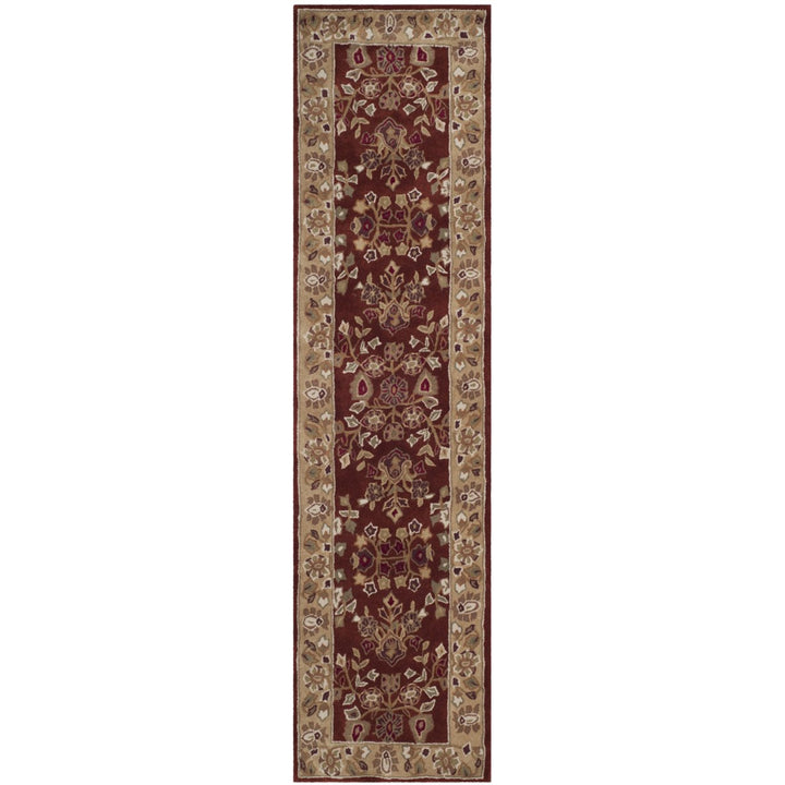 SAFAVIEH Total Performance TLP721B Rust / Green Rug Image 1