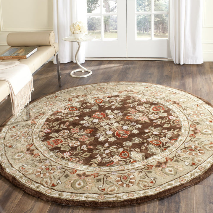 SAFAVIEH Total Performance TLP721C Brown / Green Rug Image 2