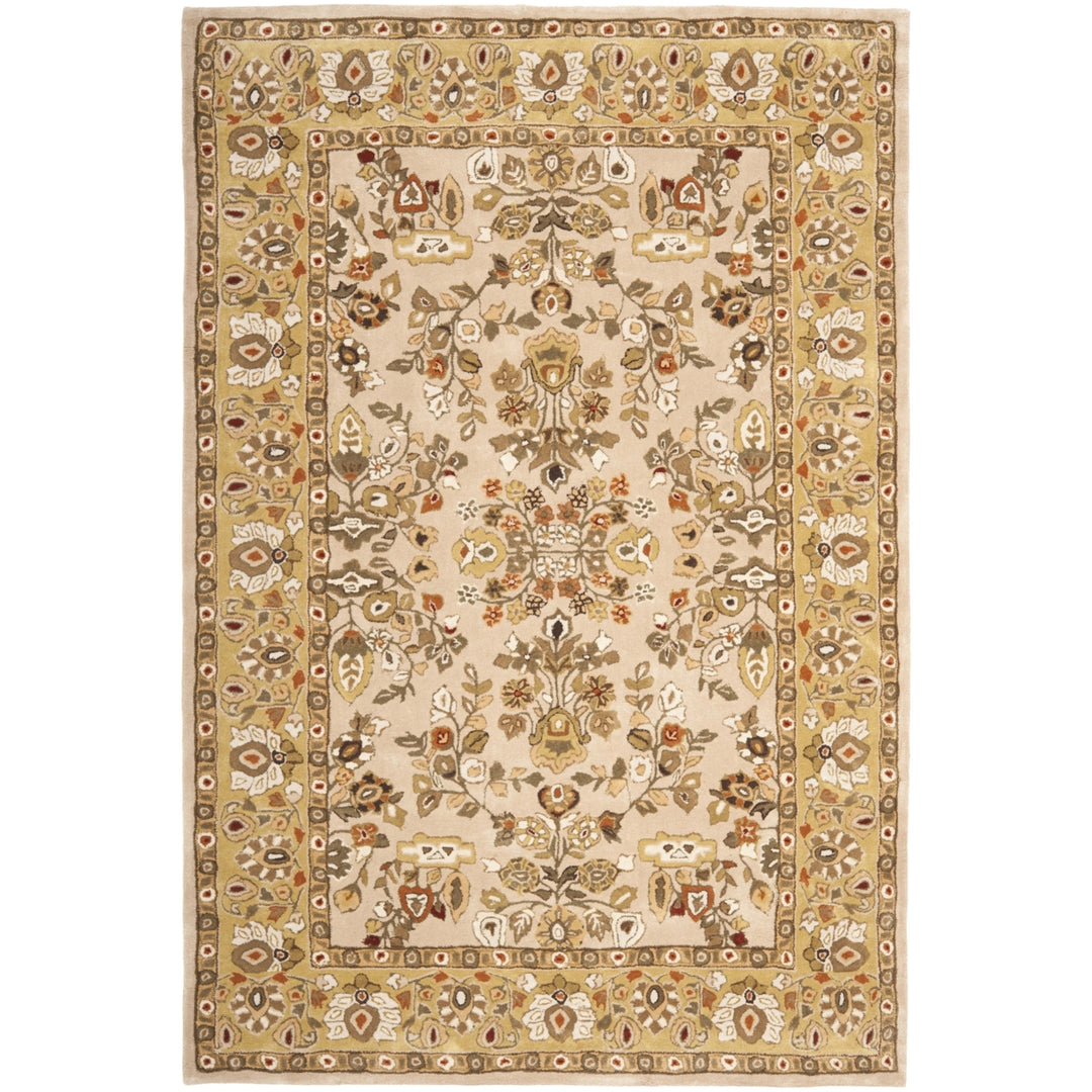 SAFAVIEH Total Performance TLP721A Ivory / Gold Rug Image 7