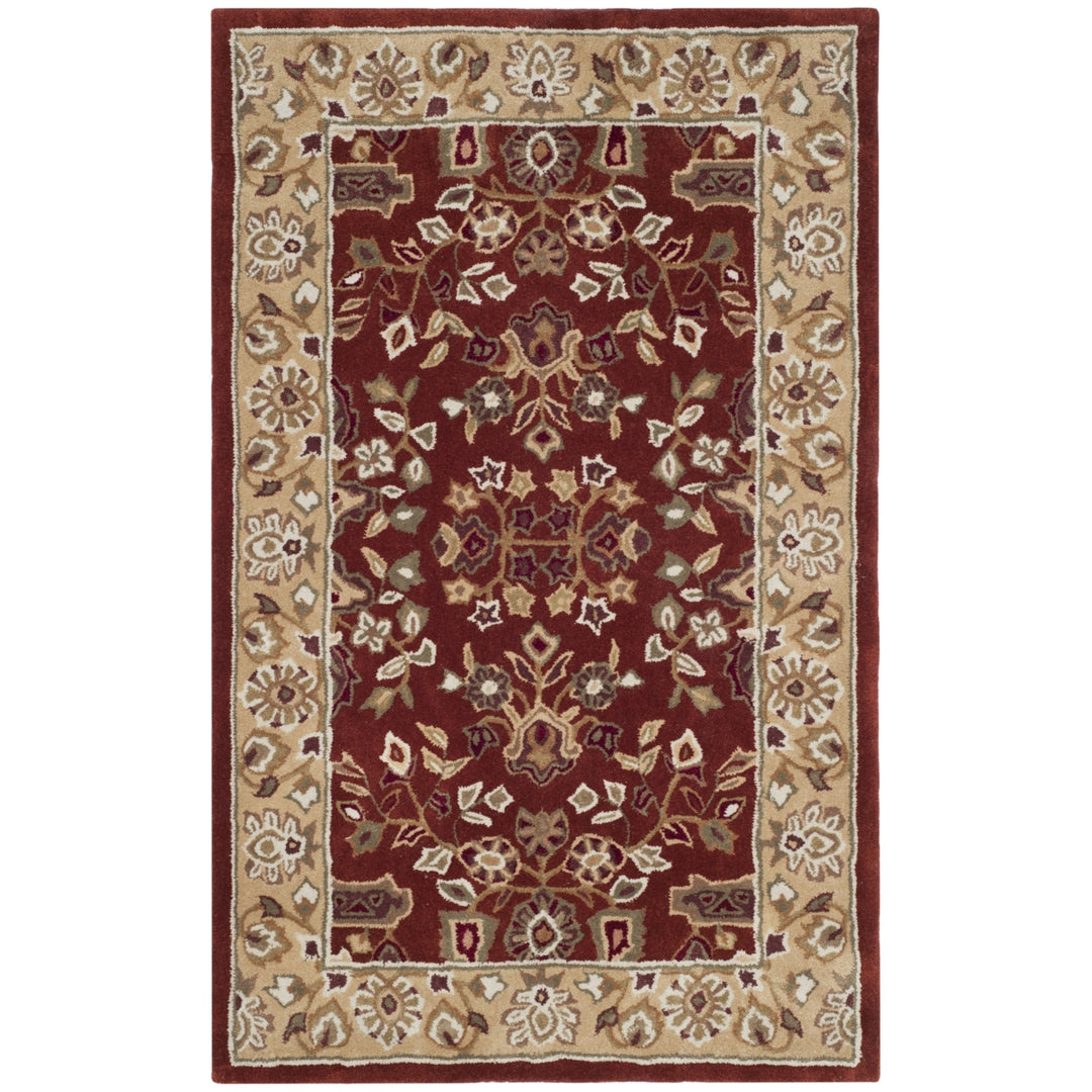 SAFAVIEH Total Performance TLP721B Rust / Green Rug Image 6