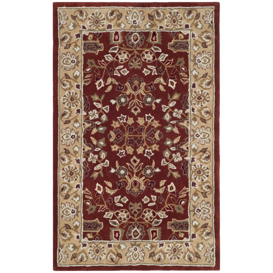 SAFAVIEH Total Performance TLP721B Rust / Green Rug Image 1