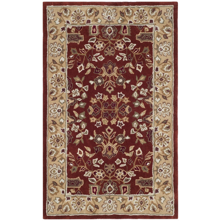 SAFAVIEH Total Performance TLP721B Rust / Green Rug Image 1