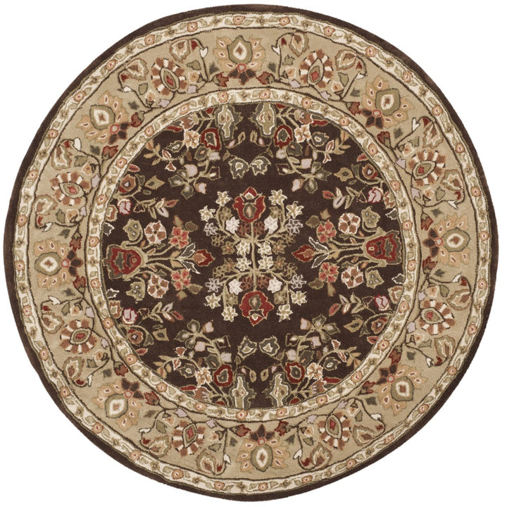 SAFAVIEH Total Performance TLP721C Brown / Green Rug Image 4