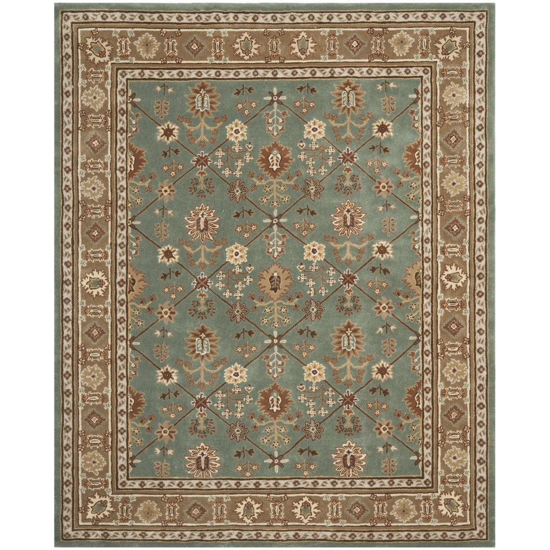 SAFAVIEH Total Performance TLP723A Blue / Taupe Rug Image 1