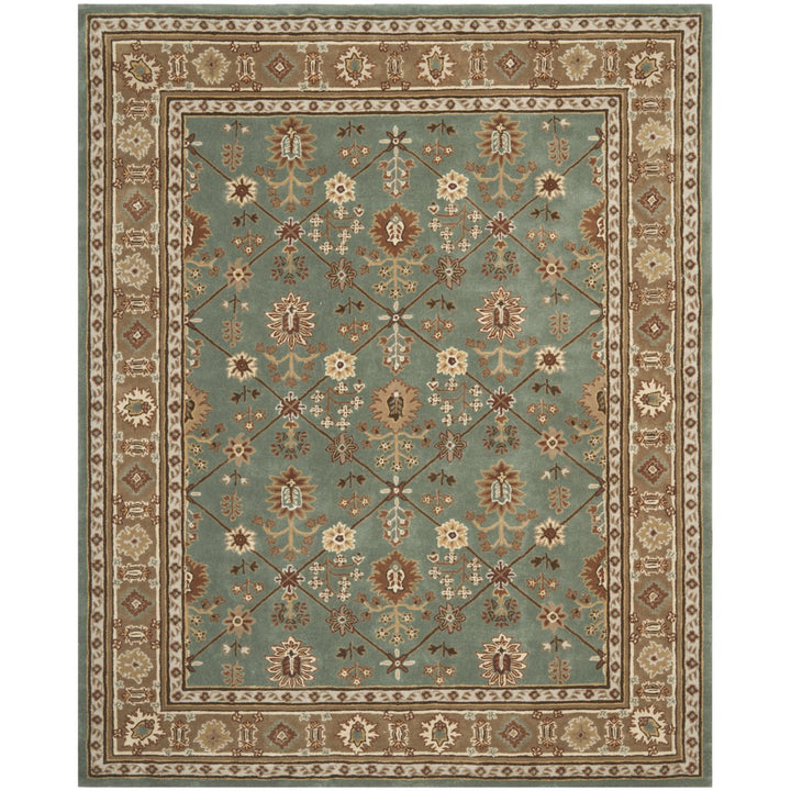 SAFAVIEH Total Performance TLP723A Blue / Taupe Rug Image 1