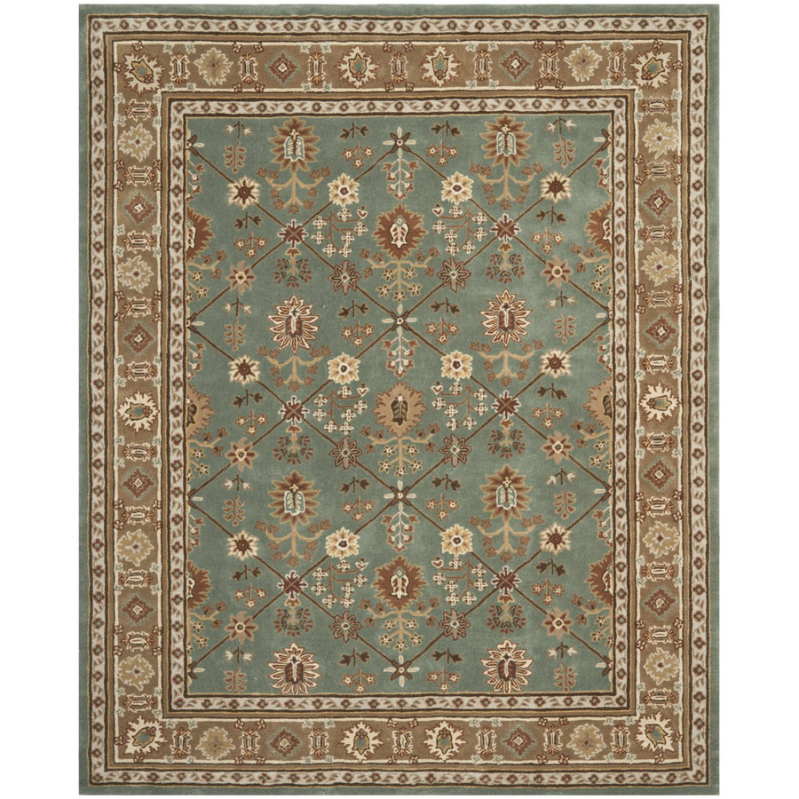 SAFAVIEH Total Performance TLP723A Blue / Taupe Rug Image 1