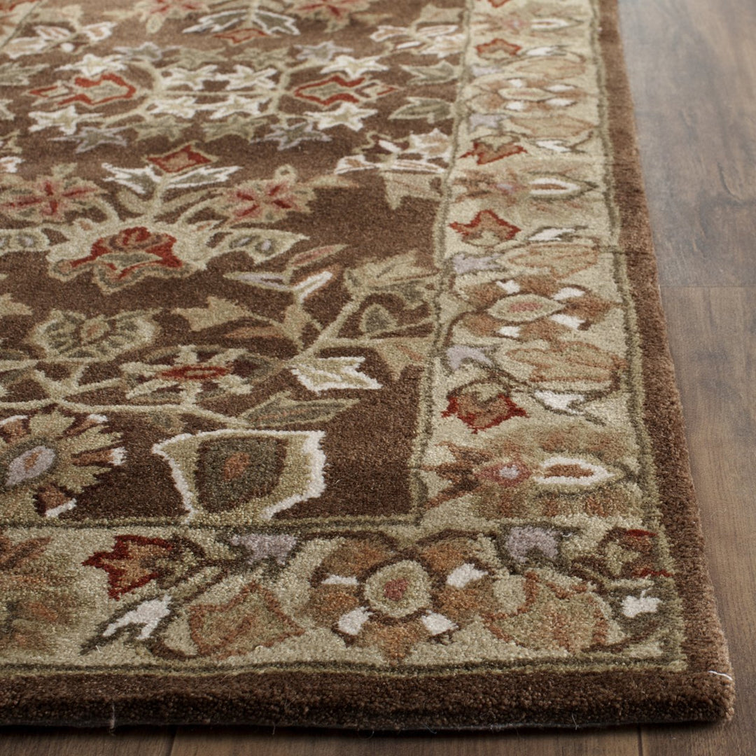 SAFAVIEH Total Performance TLP721C Brown / Green Rug Image 6