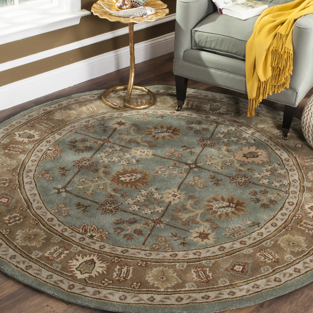 SAFAVIEH Total Performance TLP723A Blue / Taupe Rug Image 2