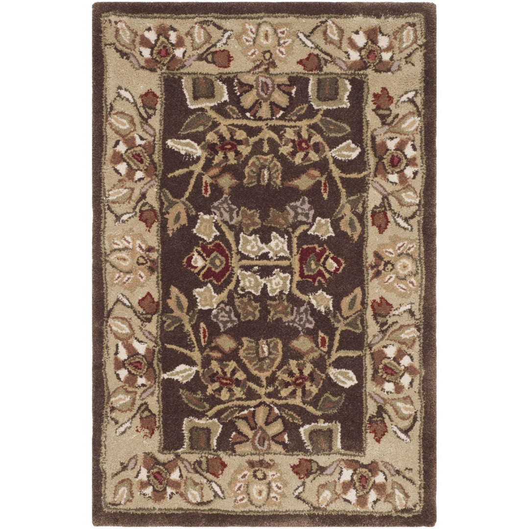 SAFAVIEH Total Performance TLP721C Brown / Green Rug Image 7