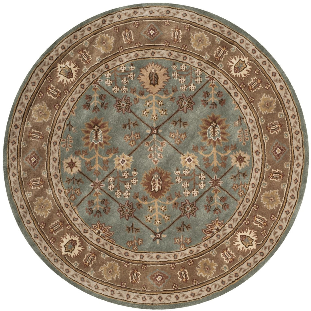 SAFAVIEH Total Performance TLP723A Blue / Taupe Rug Image 3