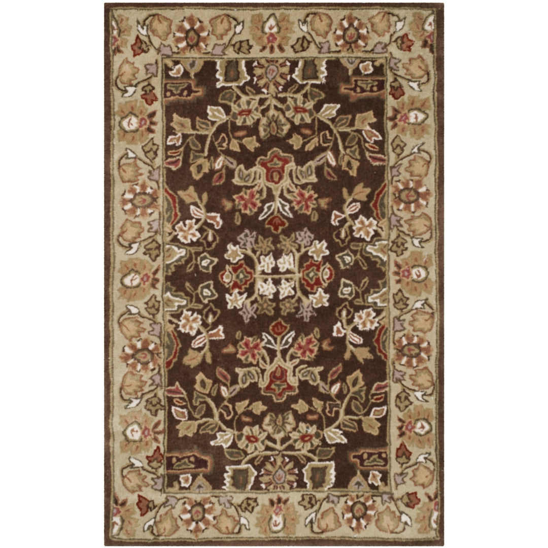 SAFAVIEH Total Performance TLP721C Brown / Green Rug Image 9