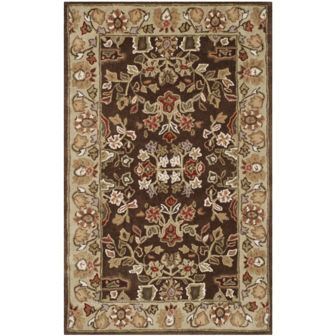 SAFAVIEH Total Performance TLP721C Brown / Green Rug Image 1