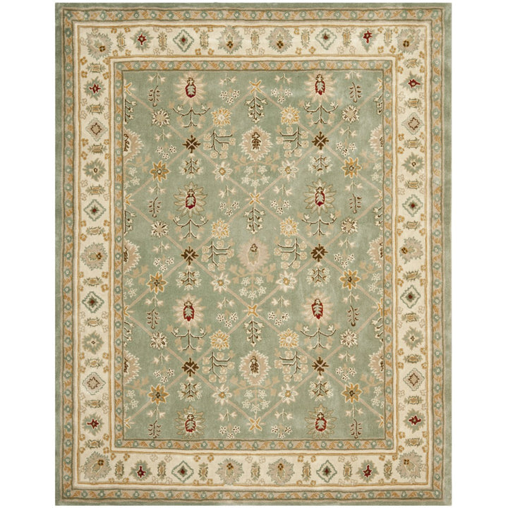 SAFAVIEH Total Performance TLP723C Green / Ivory Rug Image 1