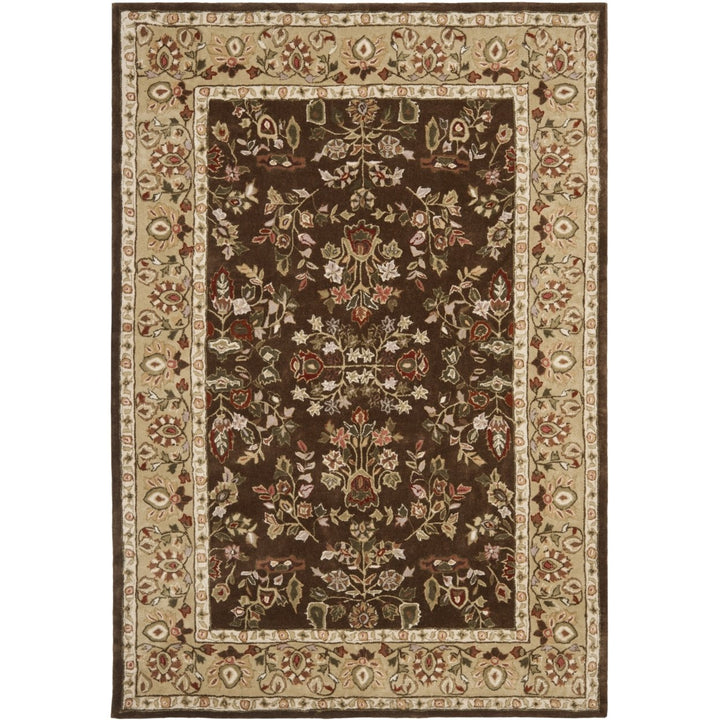 SAFAVIEH Total Performance TLP721C Brown / Green Rug Image 10