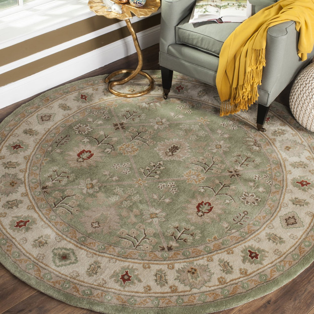 SAFAVIEH Total Performance TLP723C Green / Ivory Rug Image 2