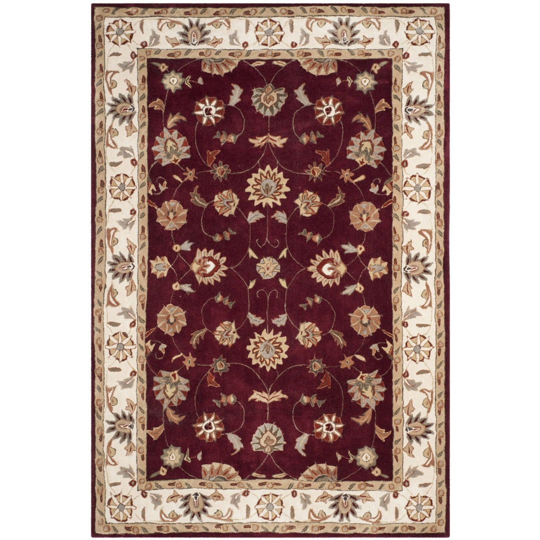SAFAVIEH TLP725A Total Performance Red / Ivory Image 3