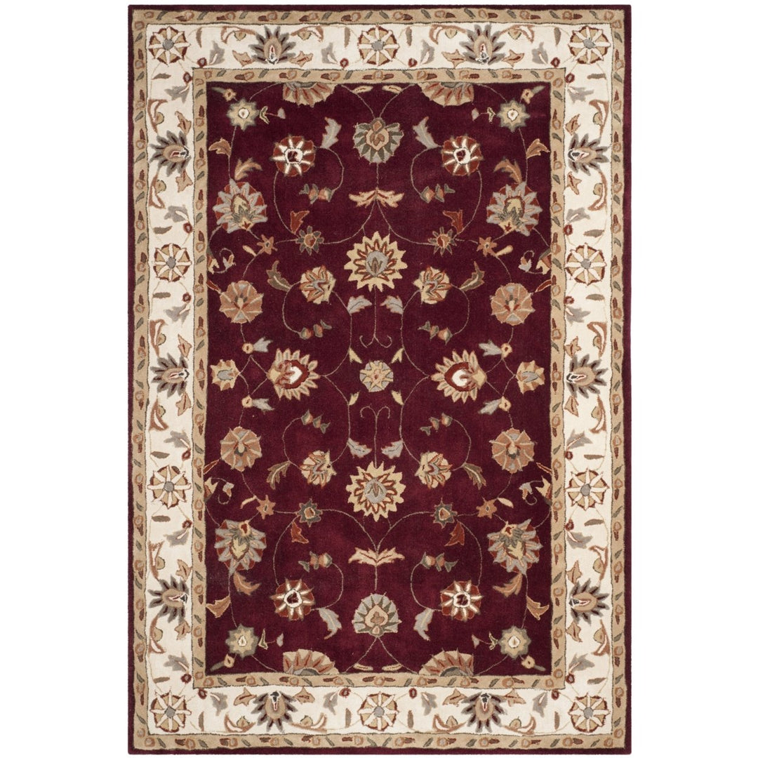 SAFAVIEH TLP725A Total Performance Red / Ivory Image 1