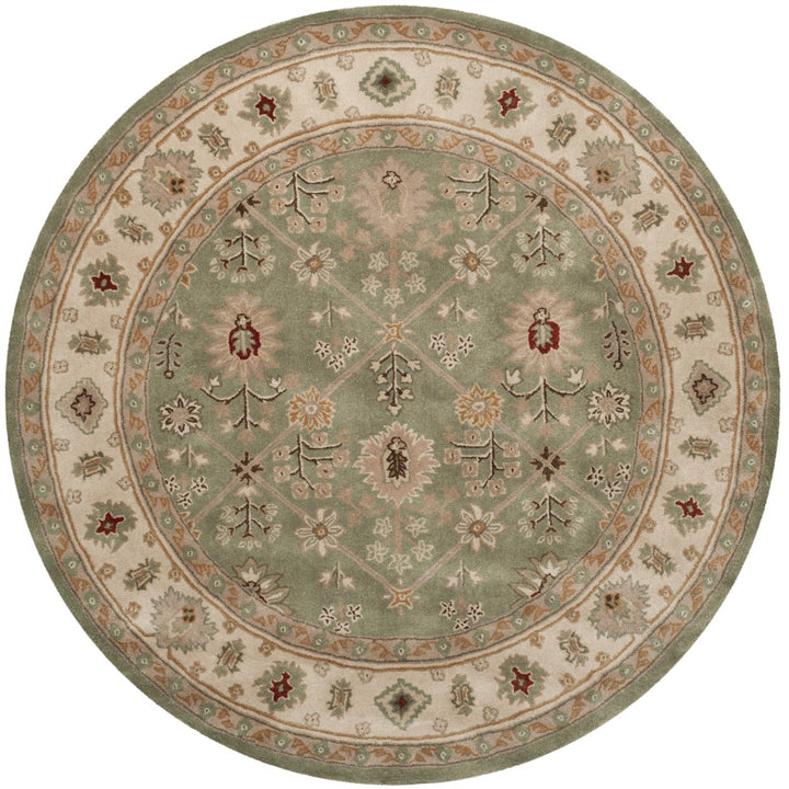 SAFAVIEH Total Performance TLP723C Green / Ivory Rug Image 4