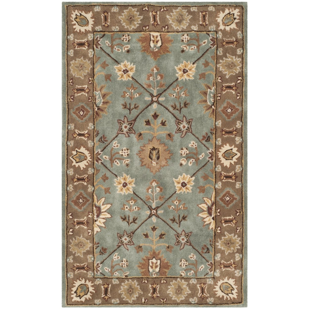 SAFAVIEH Total Performance TLP723A Blue / Taupe Rug Image 1