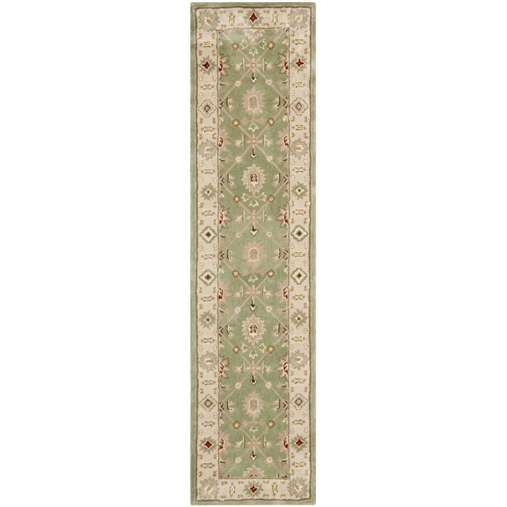 SAFAVIEH Total Performance TLP723C Green / Ivory Rug Image 5