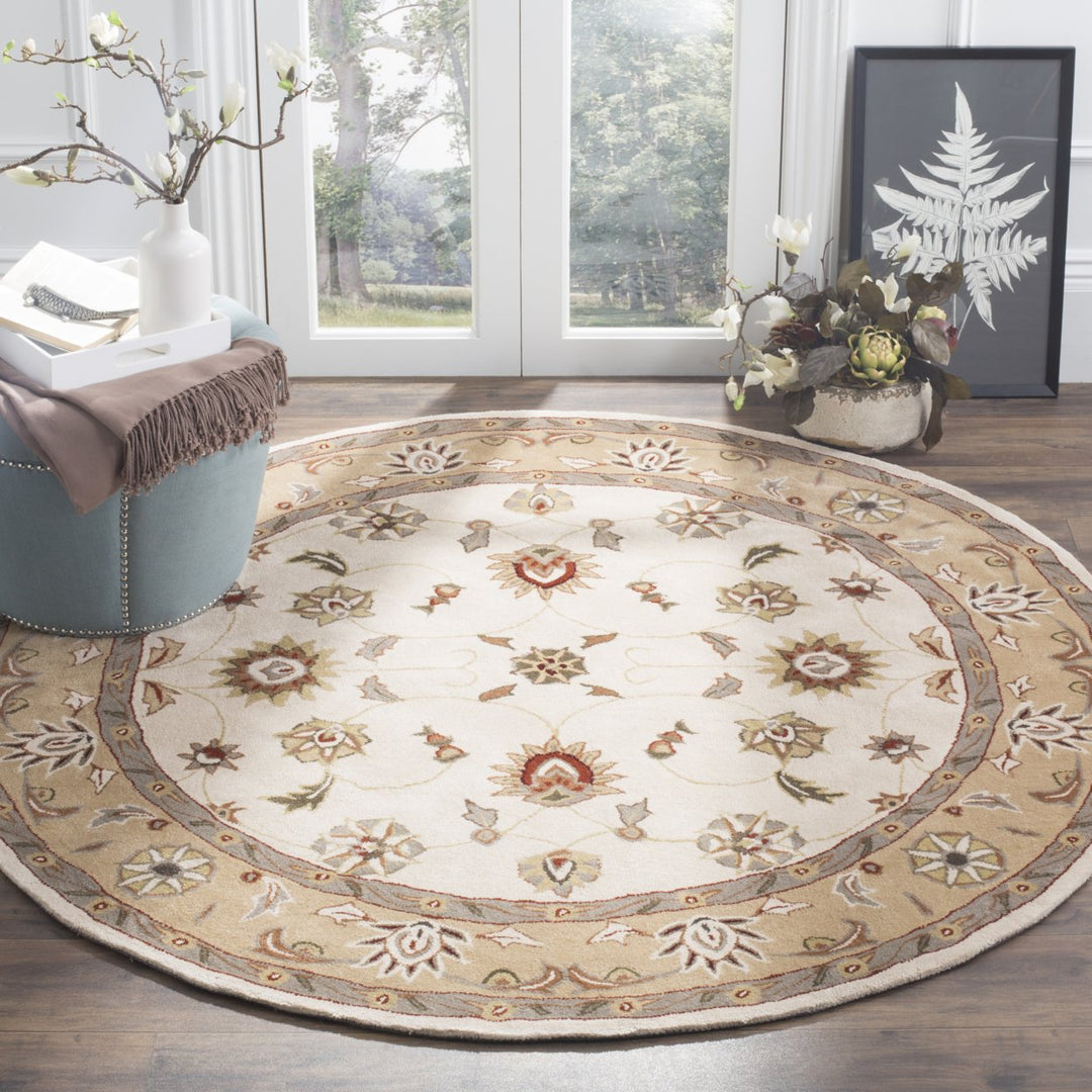 SAFAVIEH Total Performance TLP725B Ivory / Beige Rug Image 2