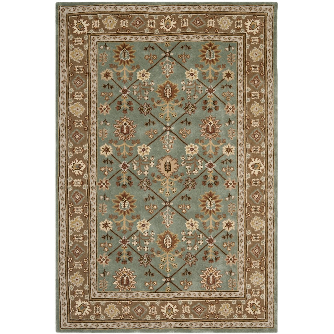 SAFAVIEH Total Performance TLP723A Blue / Taupe Rug Image 9