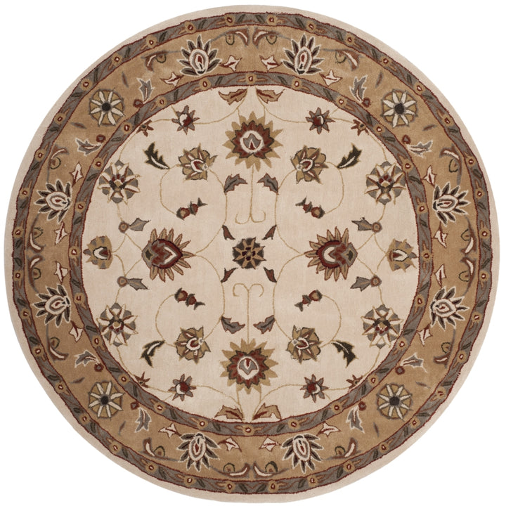 SAFAVIEH Total Performance TLP725B Ivory / Beige Rug Image 3