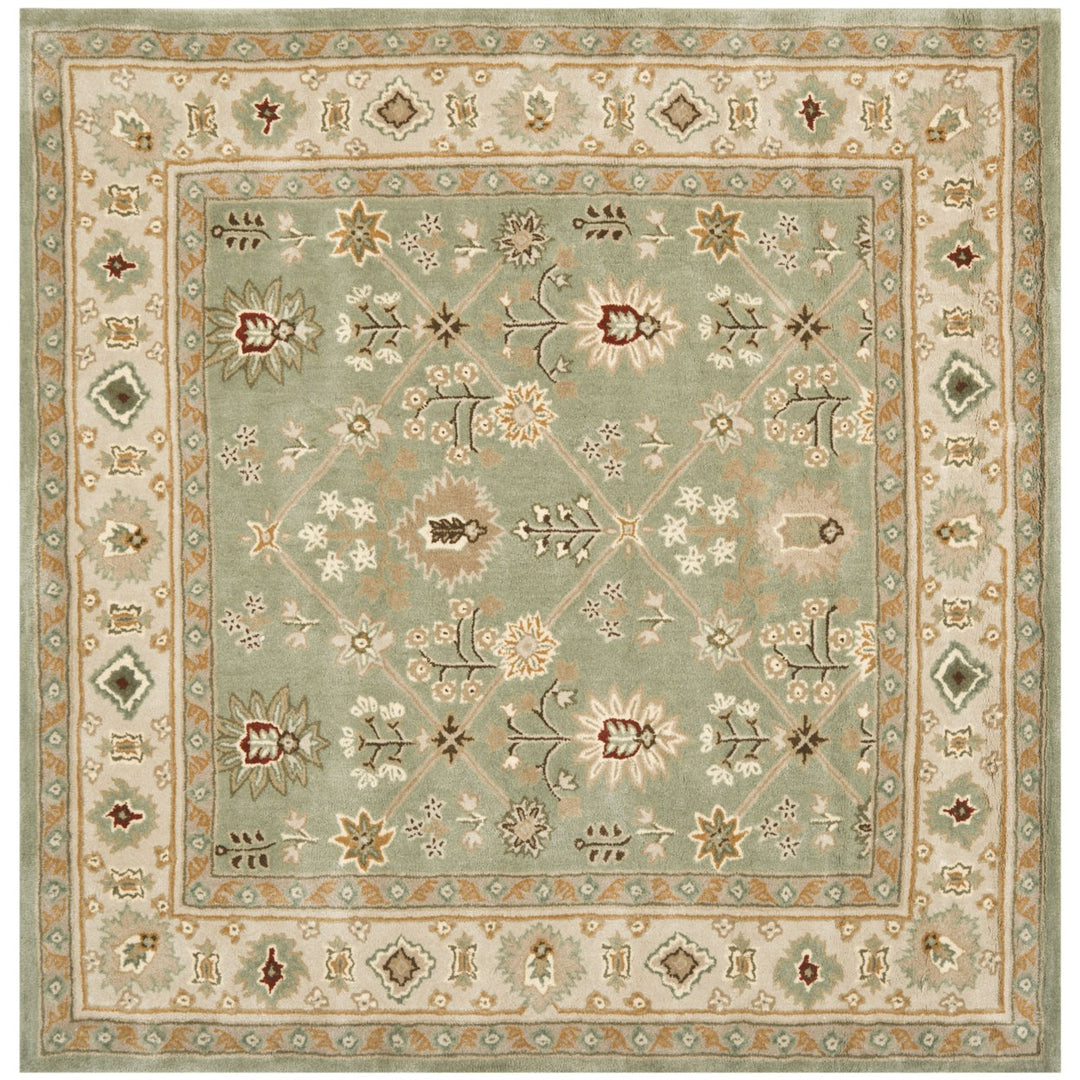 SAFAVIEH Total Performance TLP723C Green / Ivory Rug Image 6