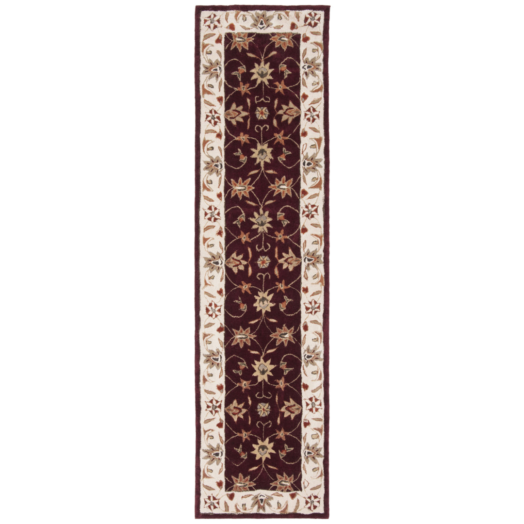 SAFAVIEH TLP725A Total Performance Red / Ivory Image 2